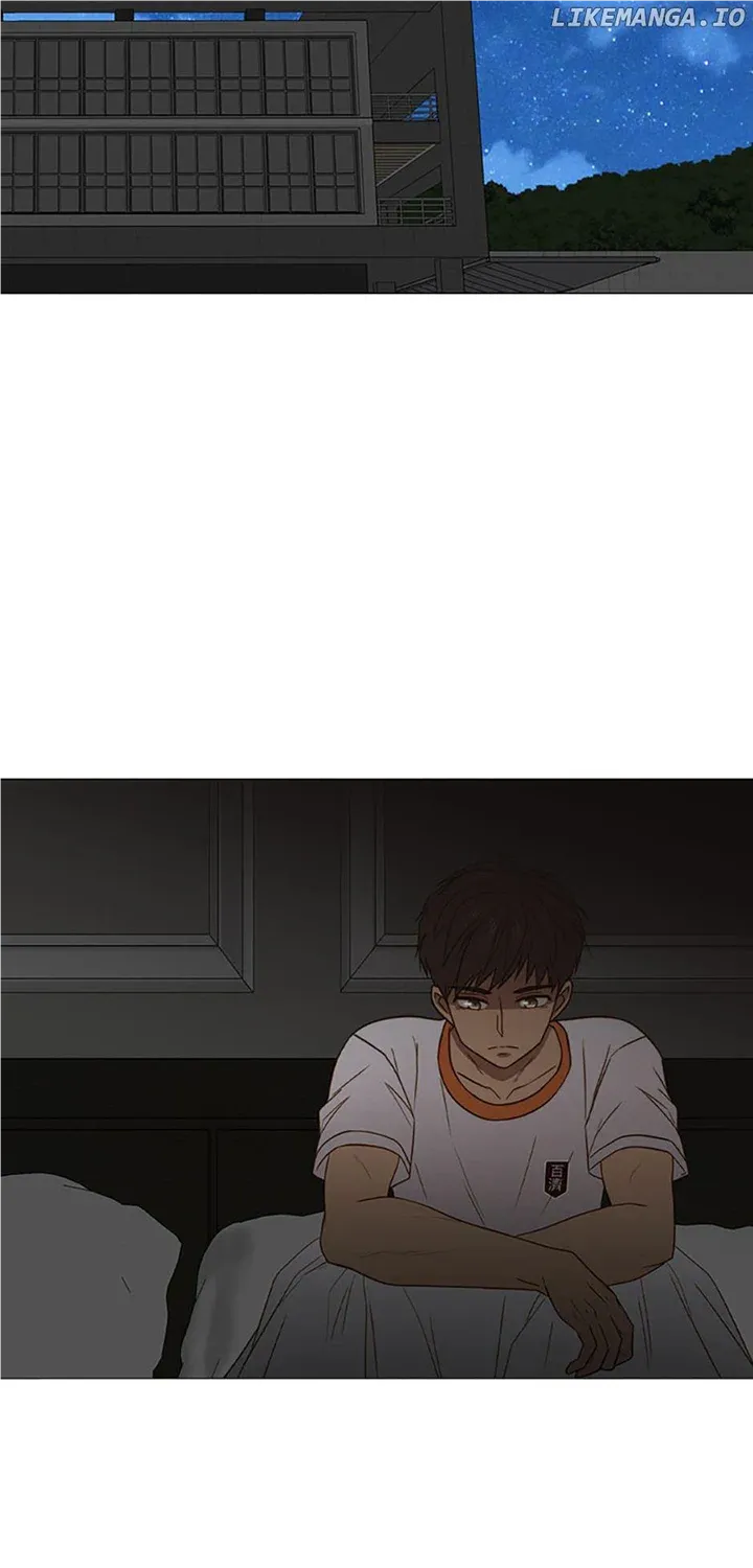 Perfect Gold Chapter 75 page 41 - 