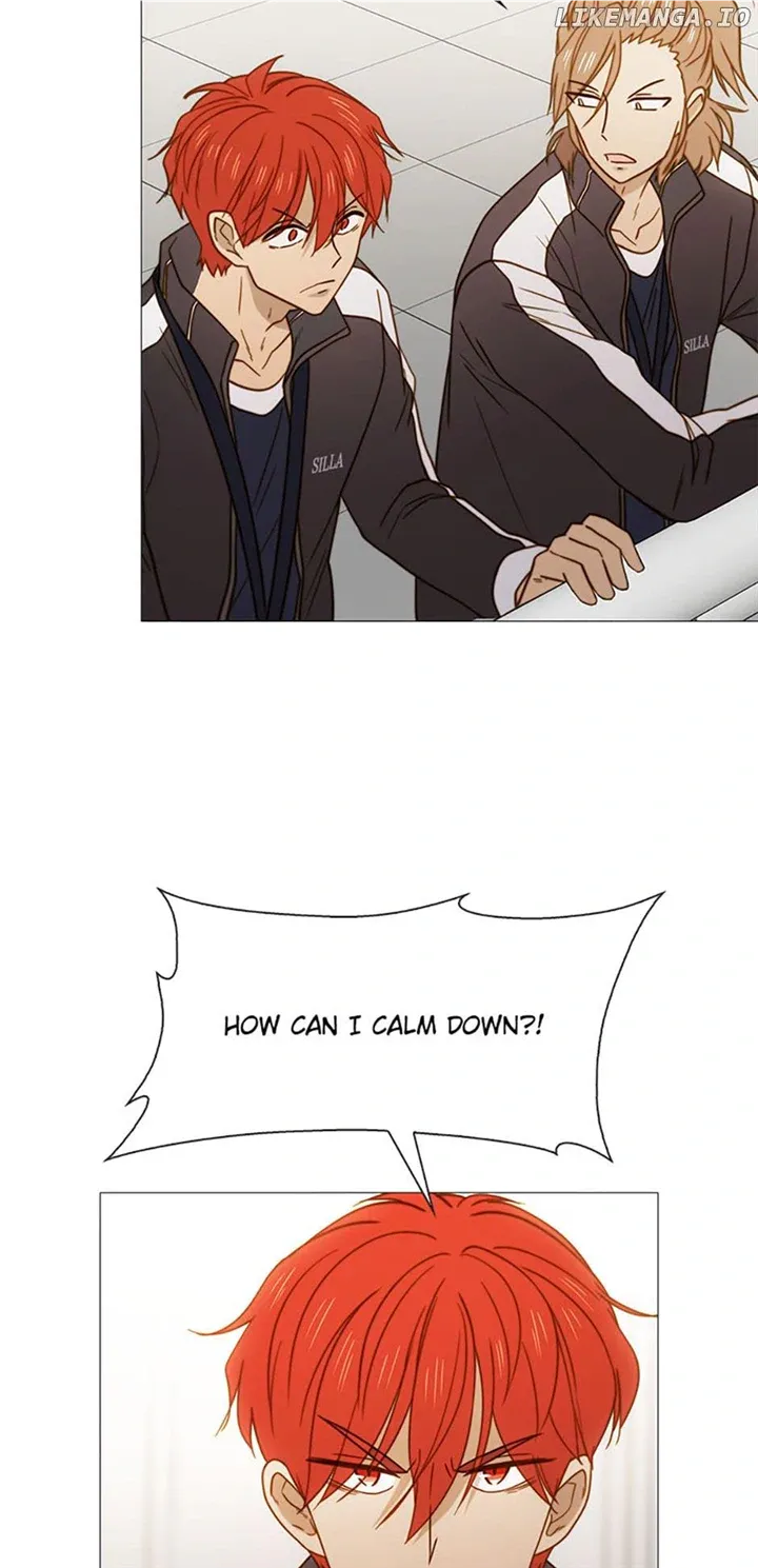 Perfect Gold Chapter 78 page 43 - 