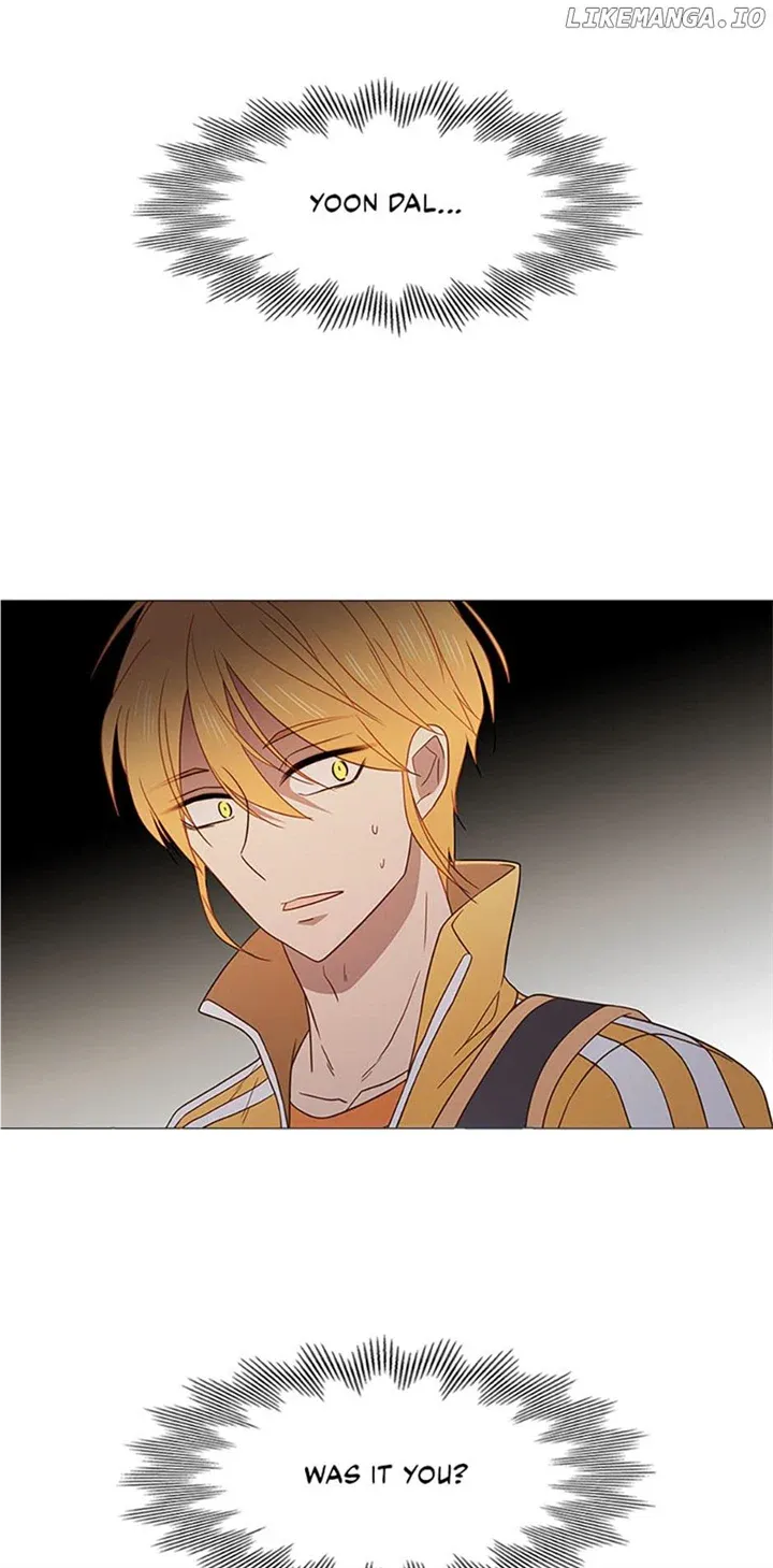 Perfect Gold Chapter 79 page 49 - 