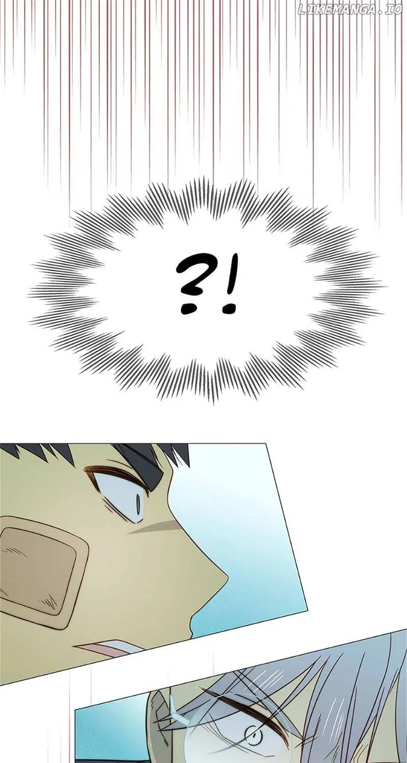 Perfect Gold Chapter 95 page 80 - 