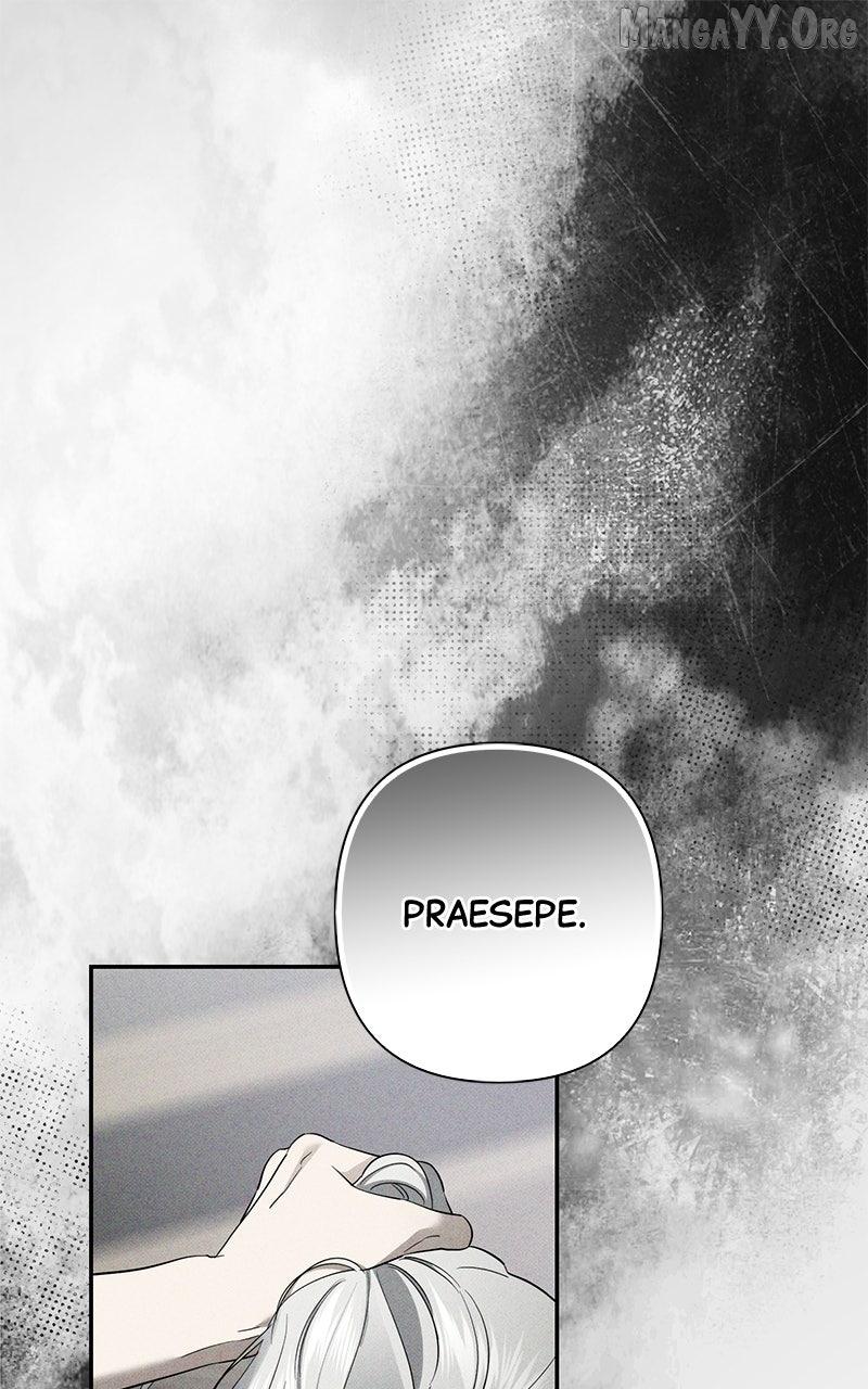 Perhaps Invincible Chapter 51 page 1 - 