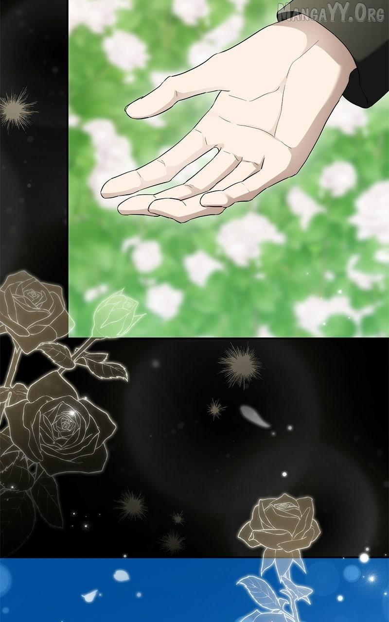 Perhaps Invincible Chapter 52 page 95 - 