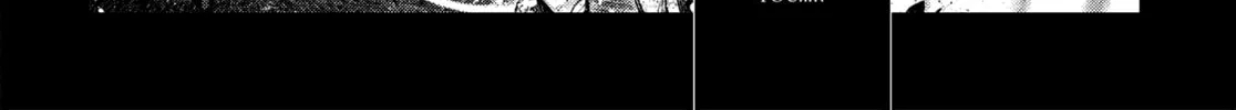 Persona 3 Chapter 33 page 8 - 