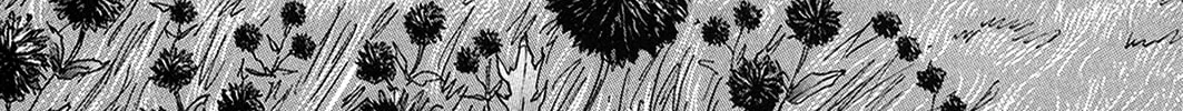 Pet Chapter 35 page 22 - 