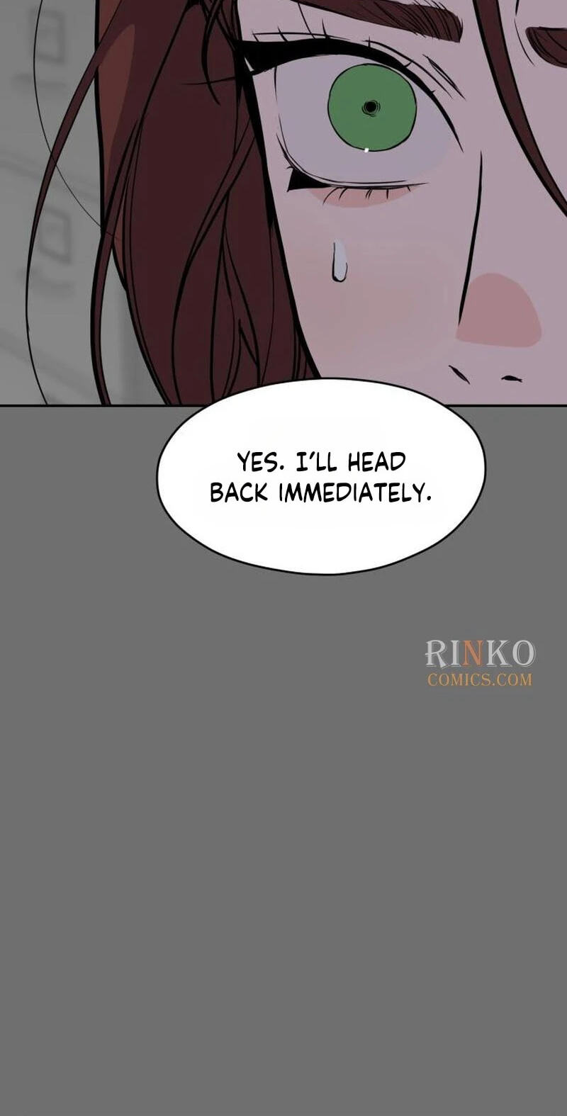 Phantom Whispers Chapter 66 page 26 - 