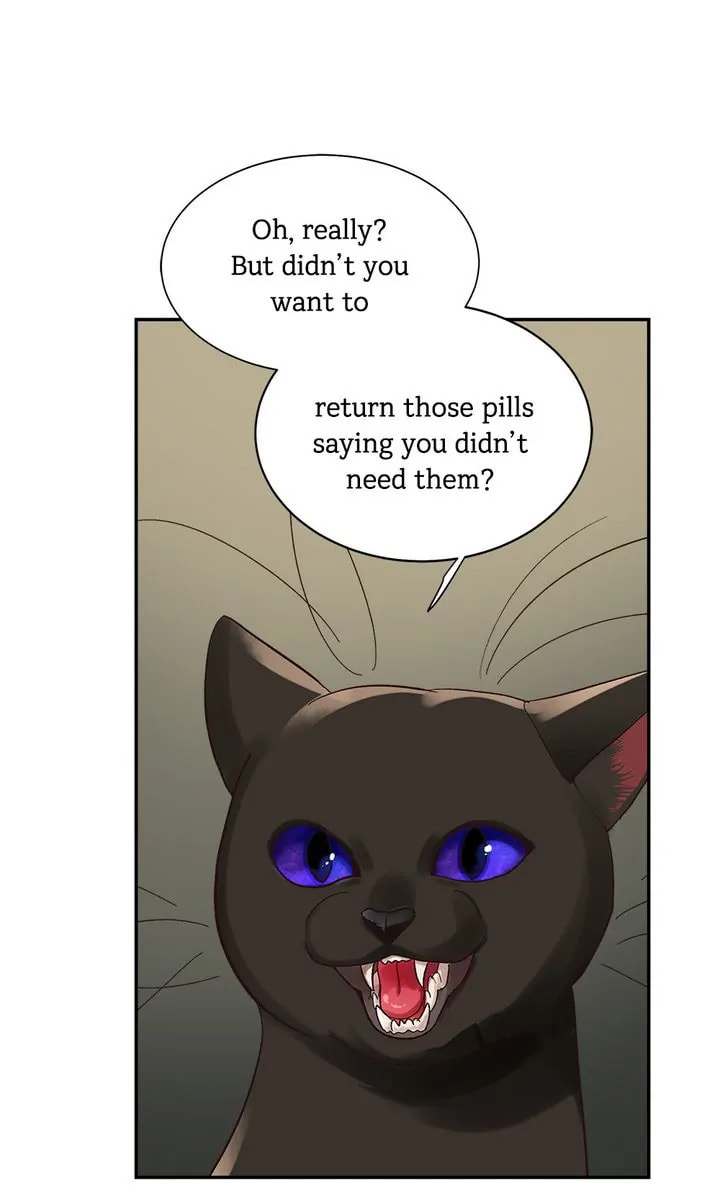 Pills for Skills Chapter 4 page 39 - 