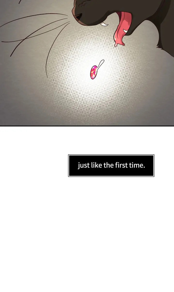 Pills for Skills Chapter 4 page 43 - 