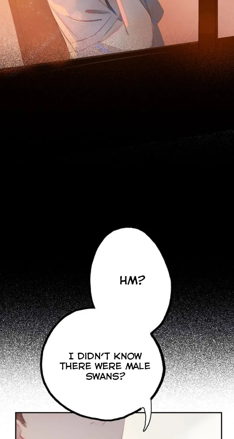 Pirouette into My Heart (Colored) Chapter 2 page 7 - 