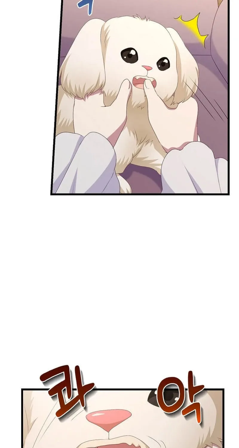 Please Become My Sister-in-Law! Chapter 25 page 44 - 