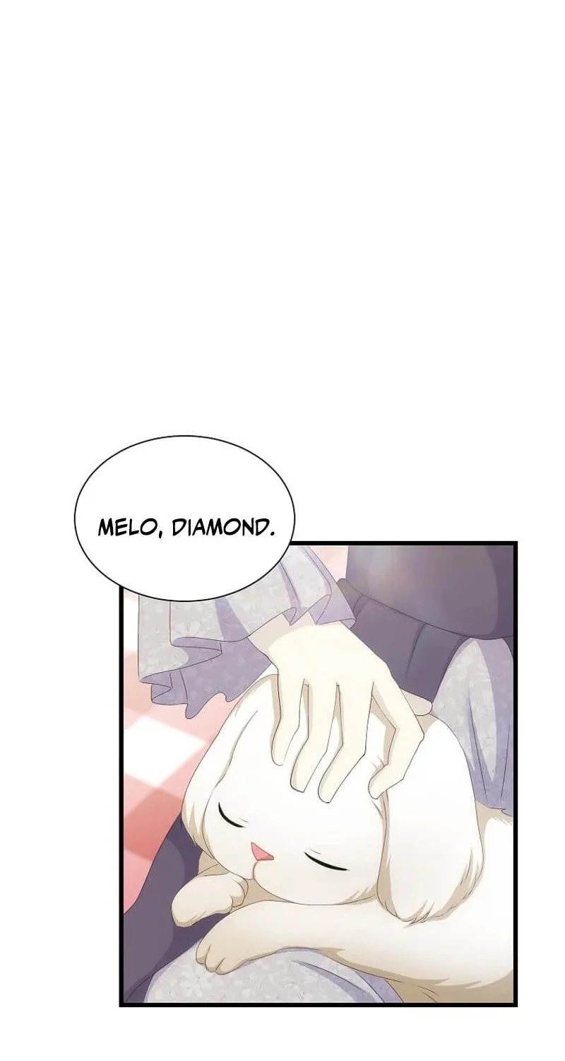 Please Become My Sister-in-Law! Chapter 26 page 14 - 