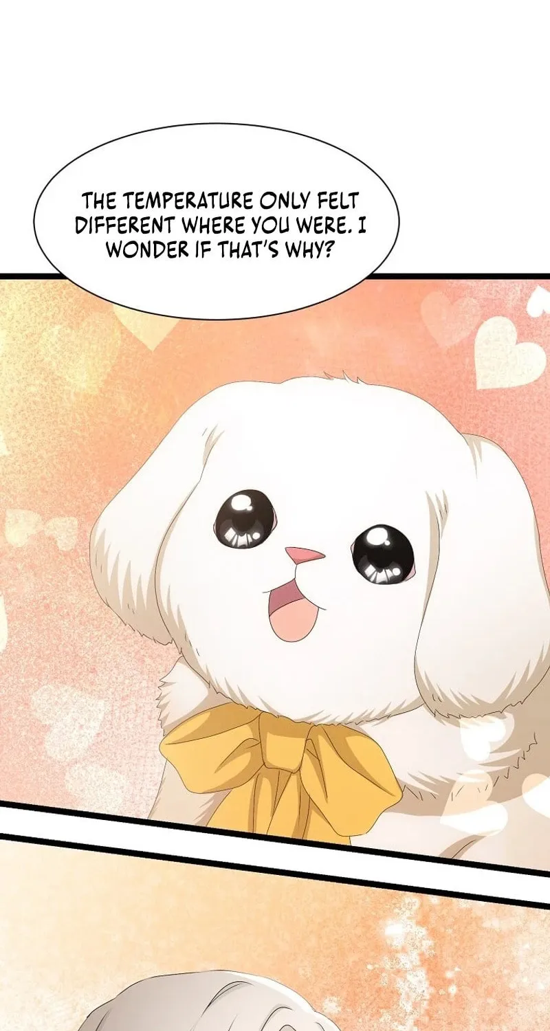 Please Become My Sister-in-Law! Chapter 28 page 62 - 