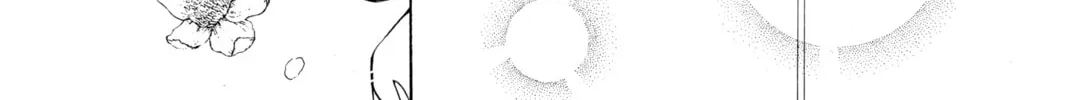 Please Save My Earth Chapter 104 page 38 - 
