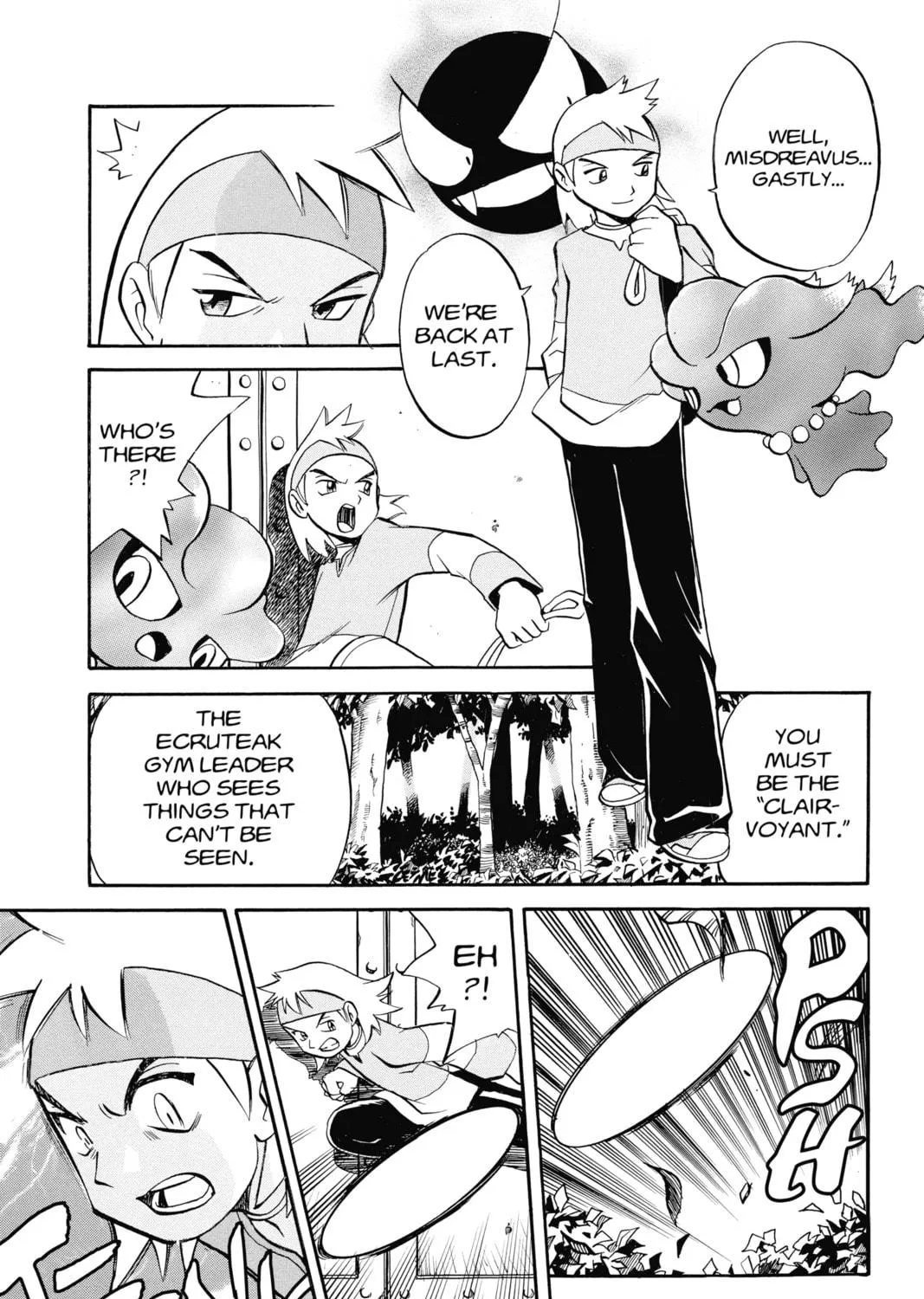 Pokémon Adventures Chapter 141 page 19 - 