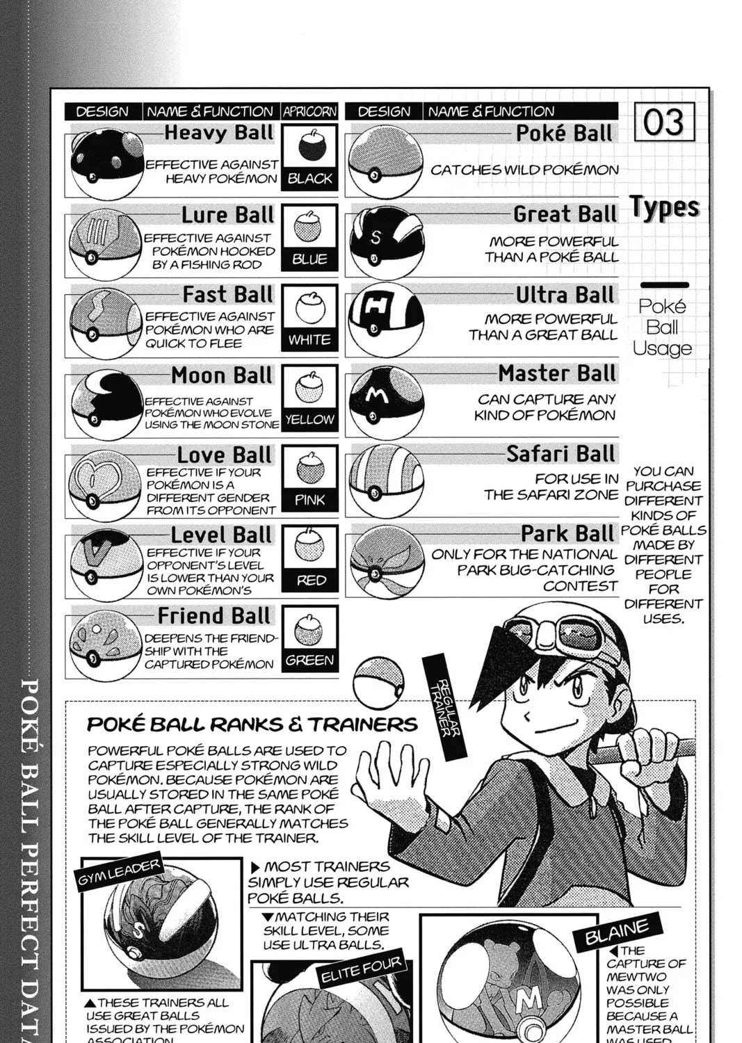 Pokémon Adventures Chapter 166 page 43 - 