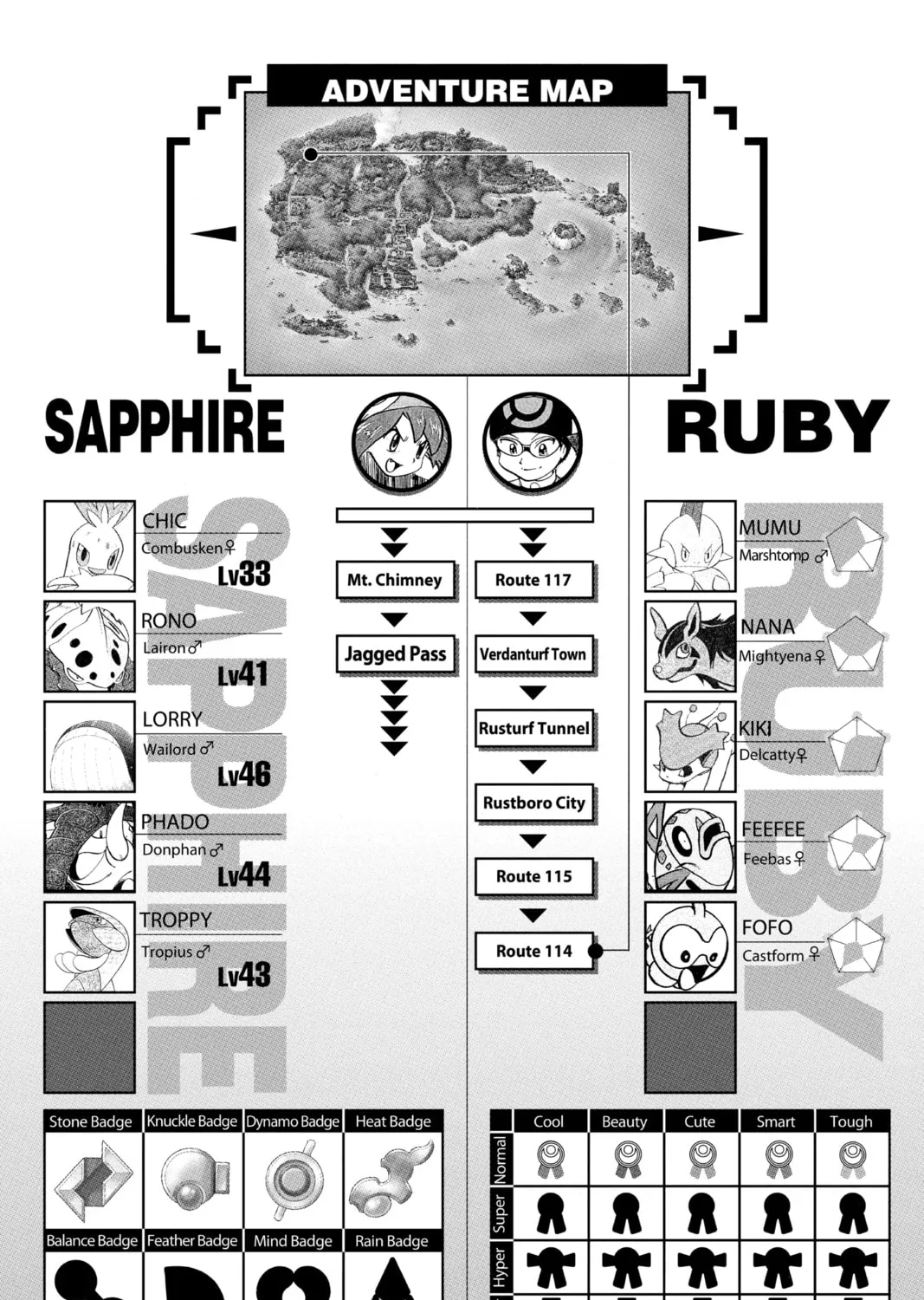 Pokémon Adventures Chapter 222 page 43 - 