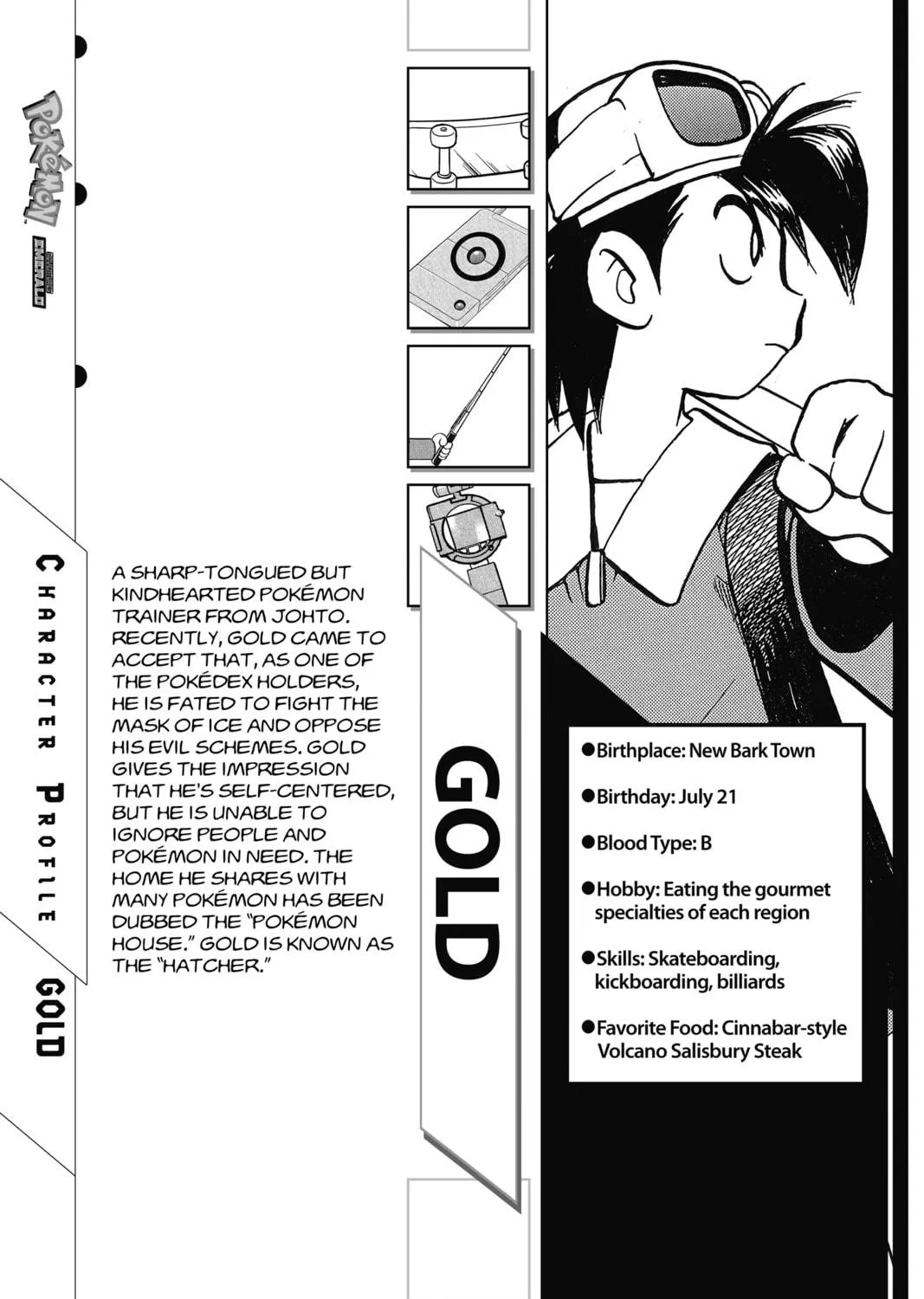 Pokémon Adventures Chapter 330 page 29 - 