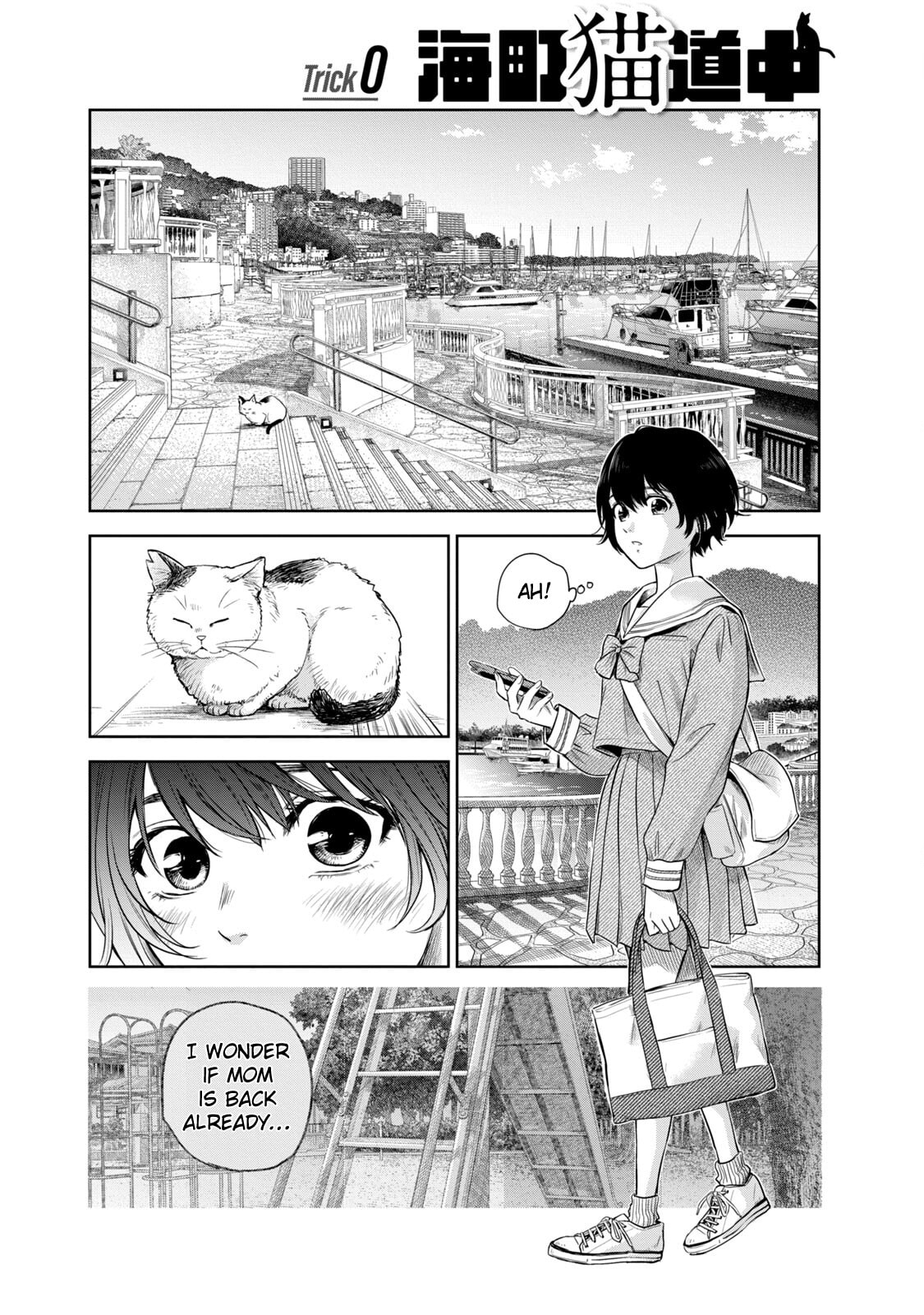 POLE STAR Chapter 7.5 page 1 - 