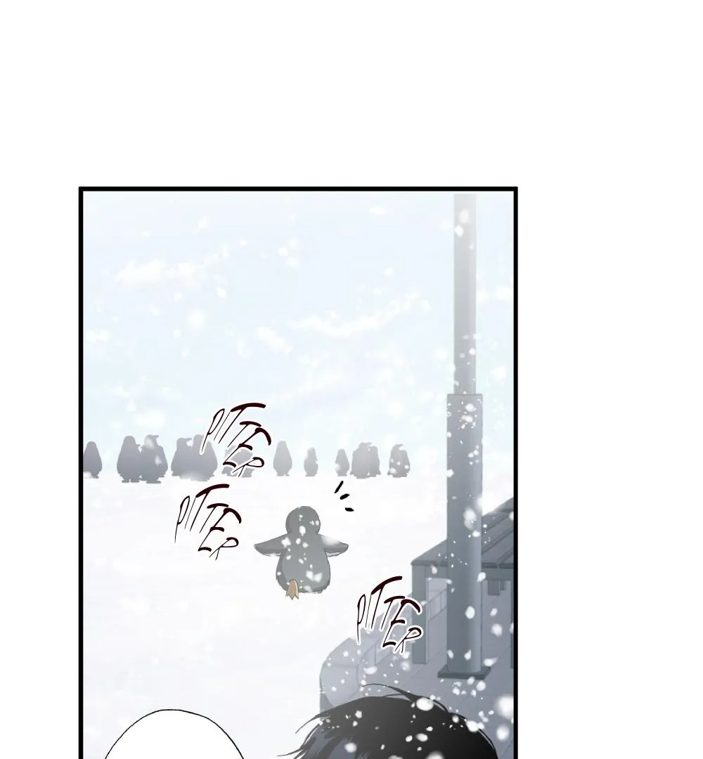 PREDATOR Chapter 4 page 79 - 