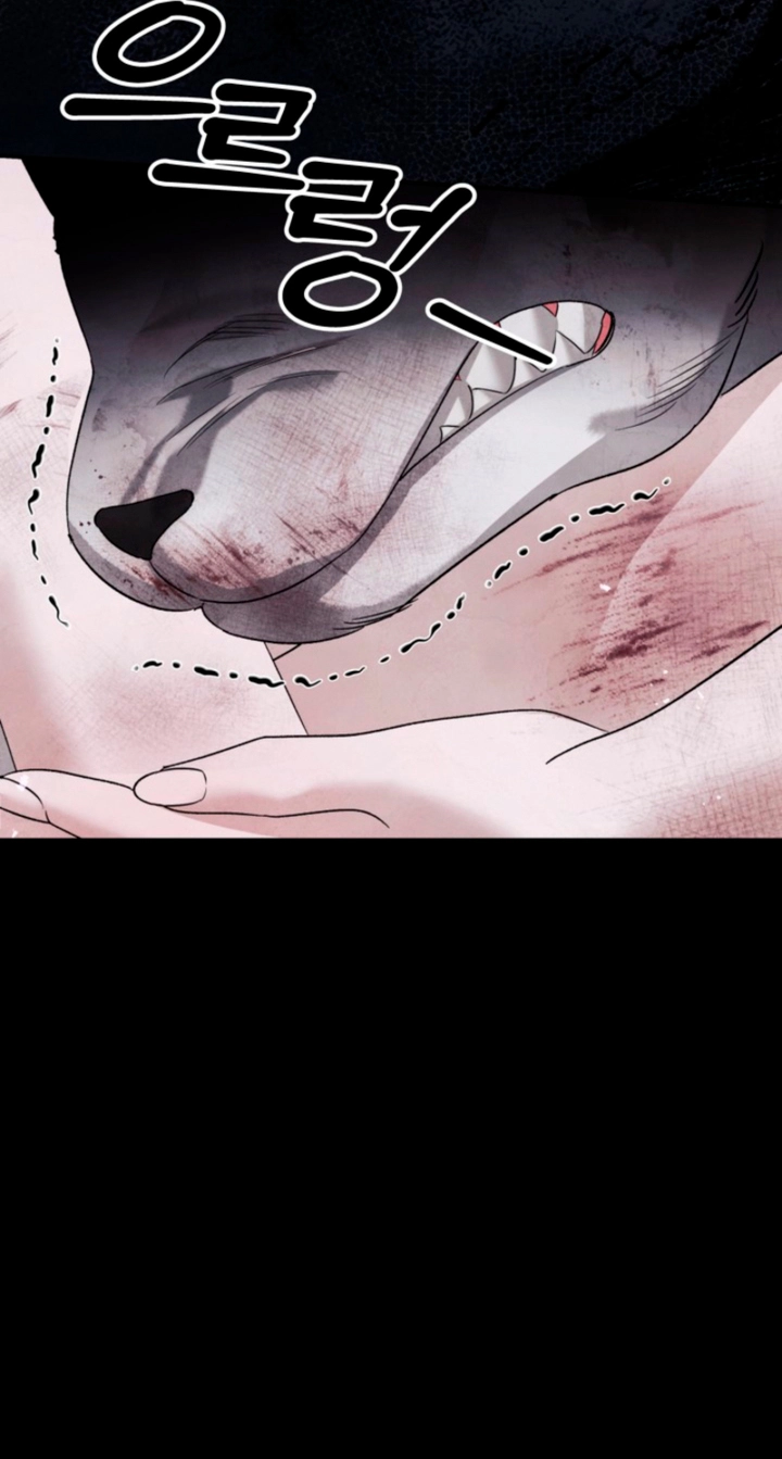 Predatory Marriage Chapter 95 page 104 - 