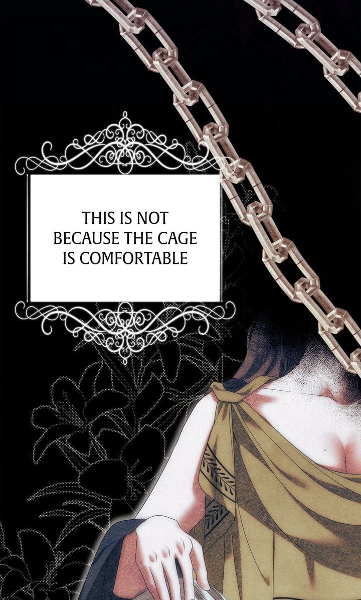 Predatory Marriage Chapter 6 page 31 - 