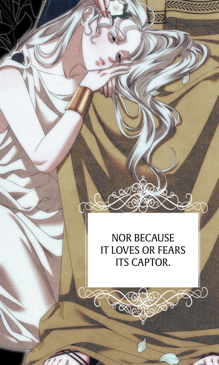 Predatory Marriage Chapter 6 page 32 - 