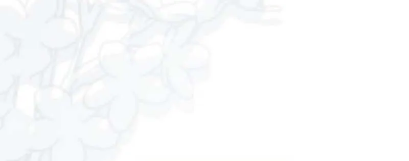 Preference for the Possessor Chapter 63 page 41 - 
