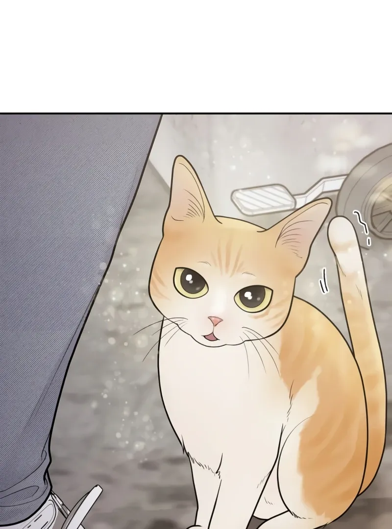 Pregnancy, Plunder Chapter 1 page 80 - 