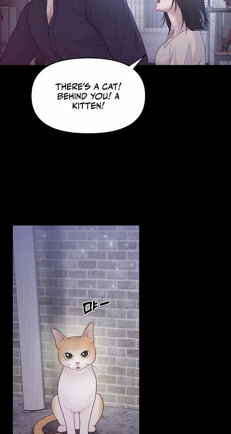 Pregnancy, Plunder Chapter 13 page 24 - 