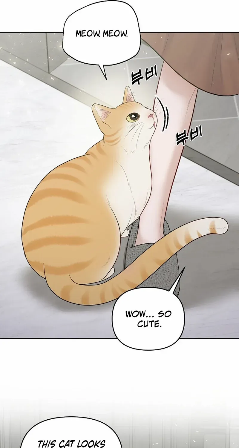 Pregnancy, Plunder Chapter 13 page 71 - 