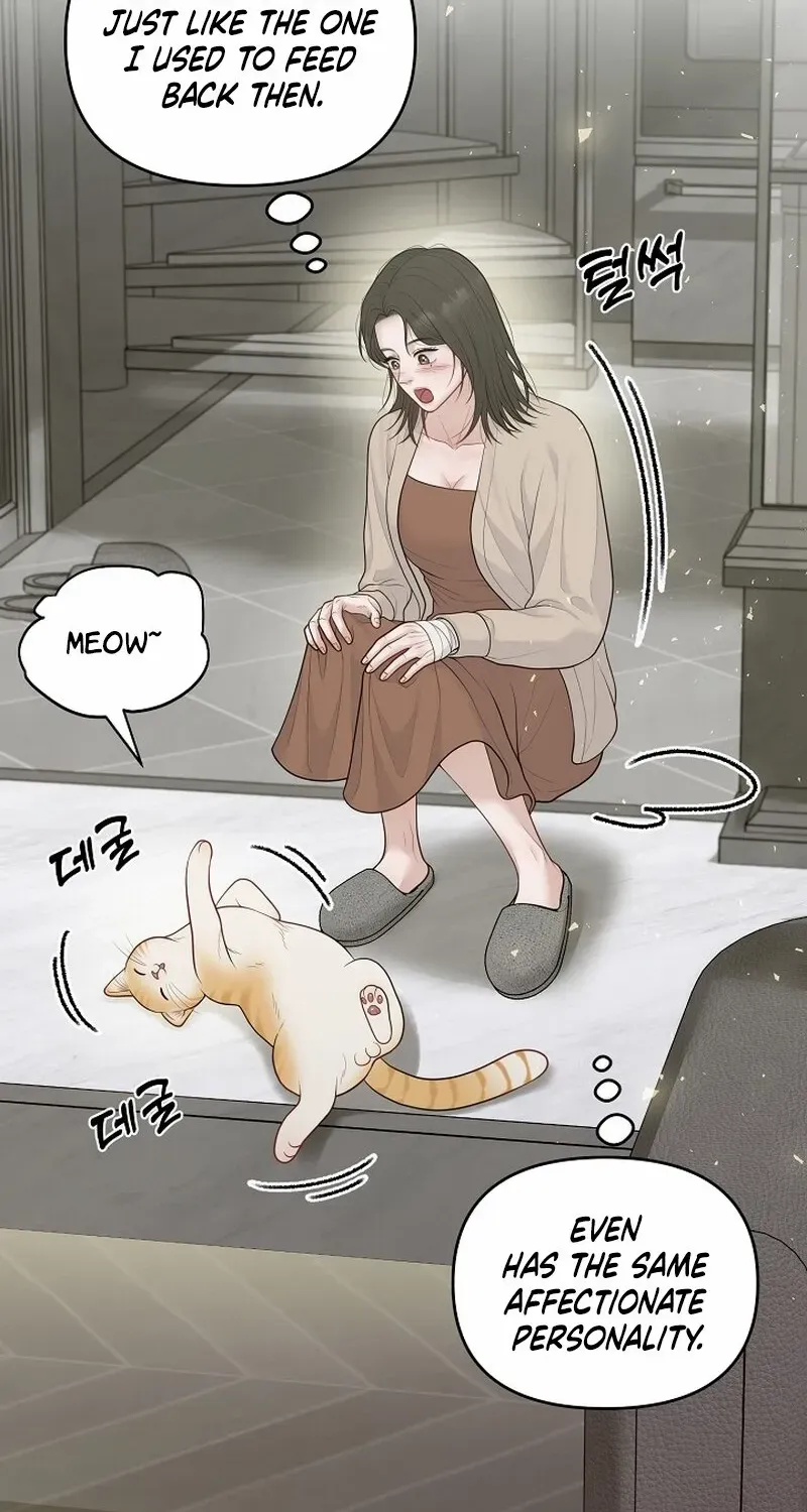 Pregnancy, Plunder Chapter 13 page 72 - 