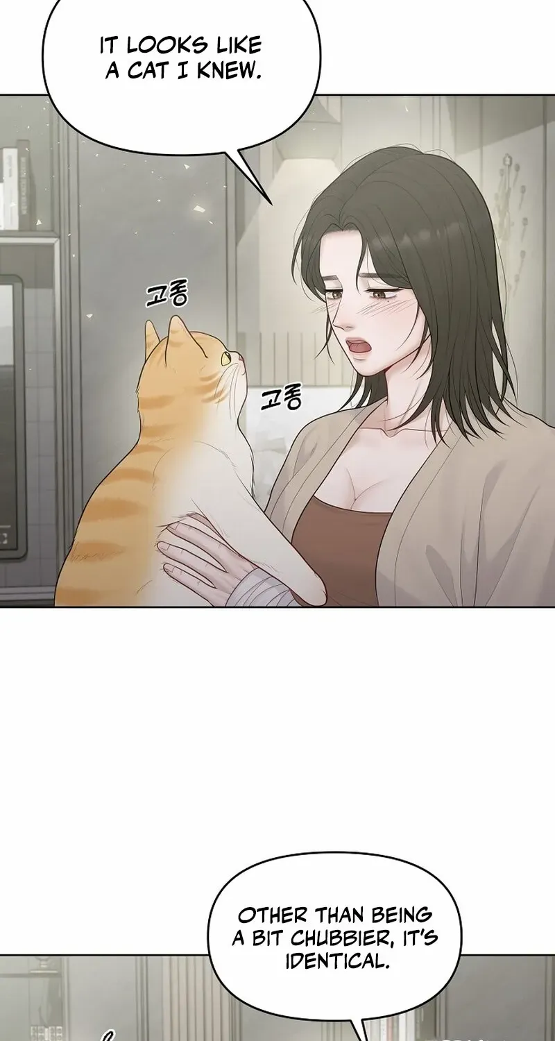 Pregnancy, Plunder Chapter 13 page 84 - 