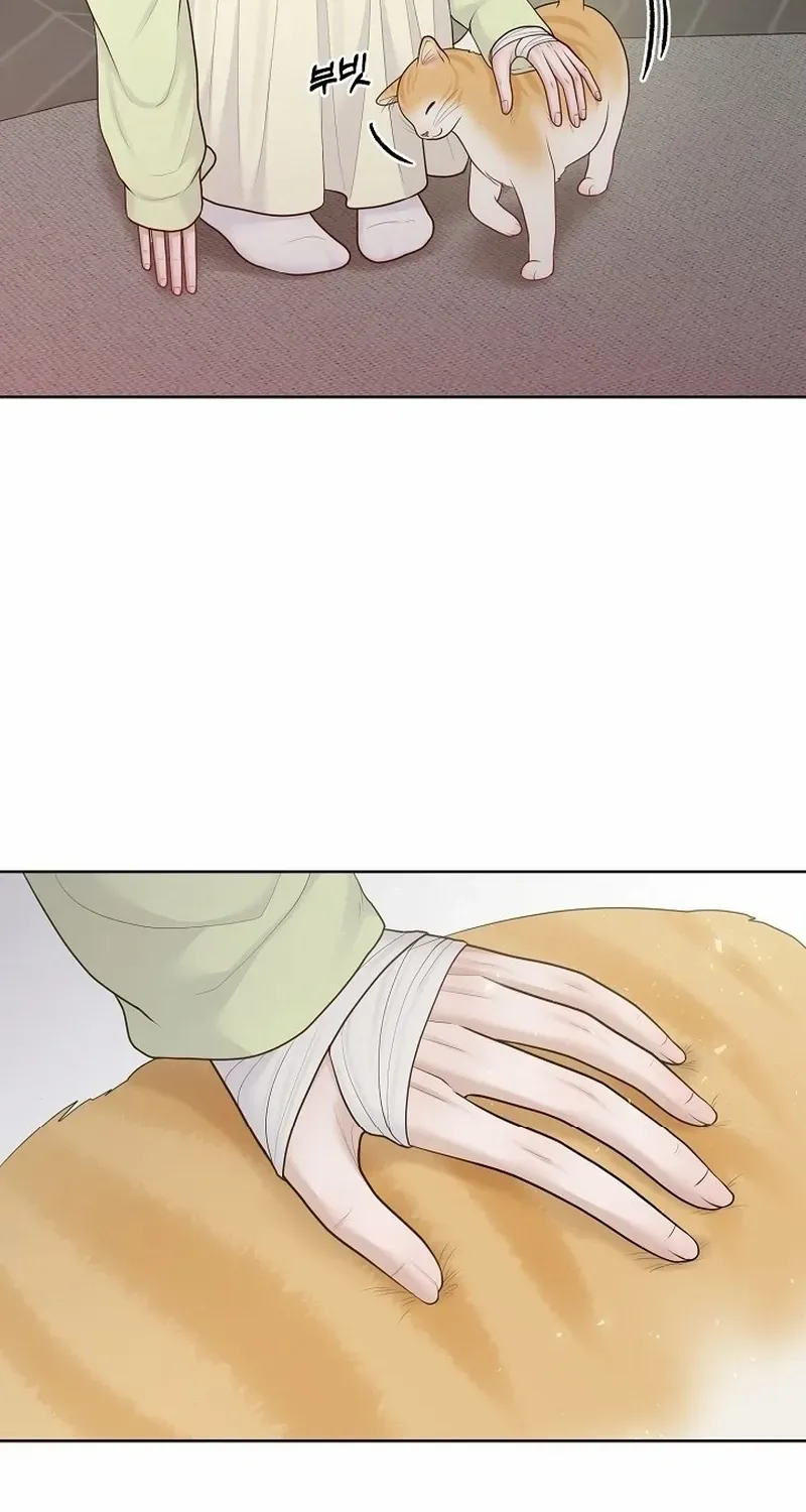 Pregnancy, Plunder Chapter 19 page 67 - 
