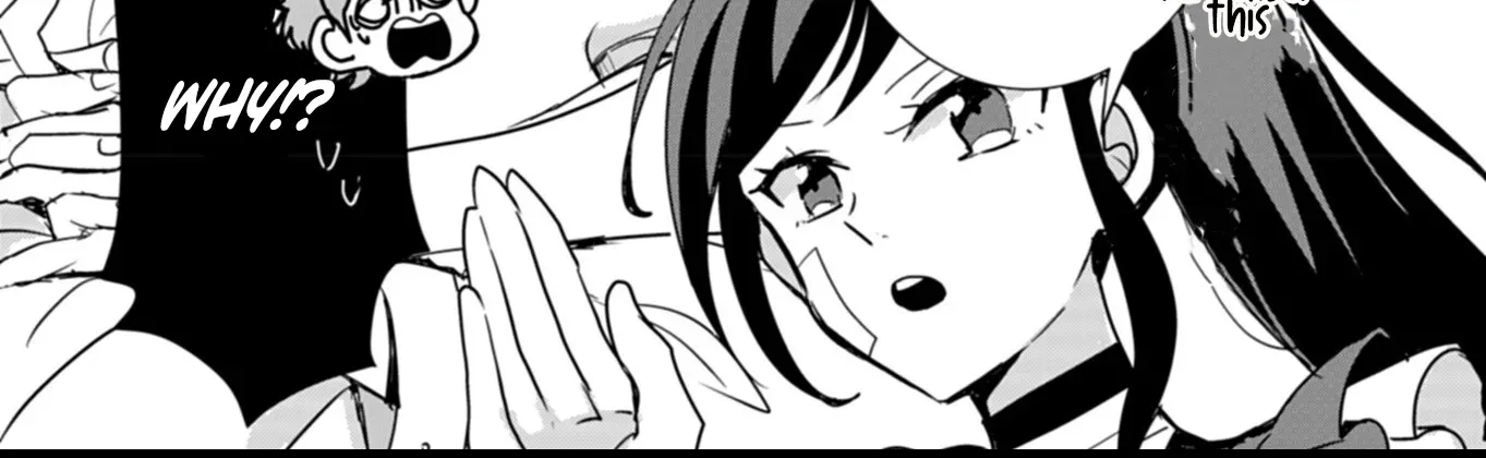 Princes Attendant A Is The Villainesss Ally Chapter 7 page 27 - 