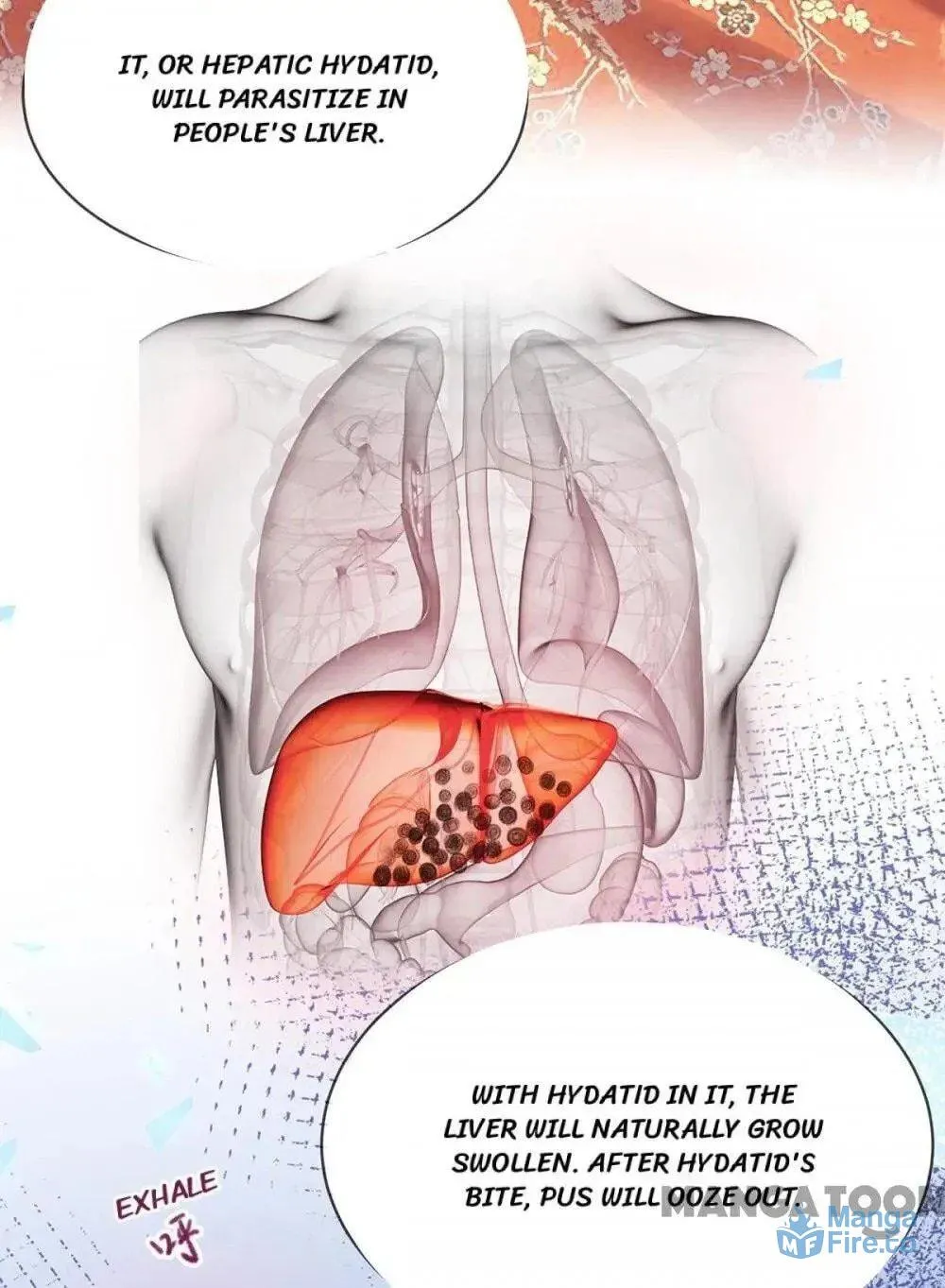 Princess Is a Bloodthirsty Surgeon Chapter 37 page 40 - 