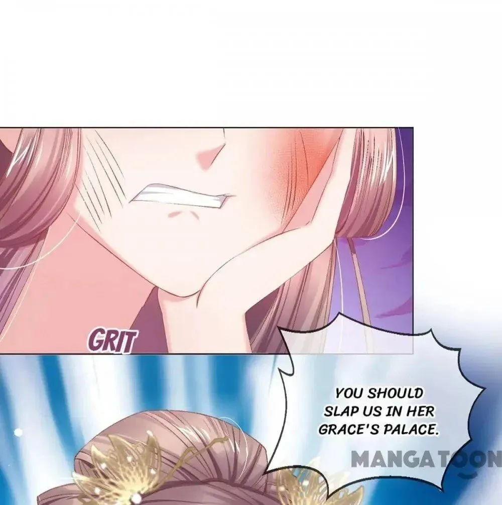 Princess Is a Bloodthirsty Surgeon Chapter 64 page 5 - 