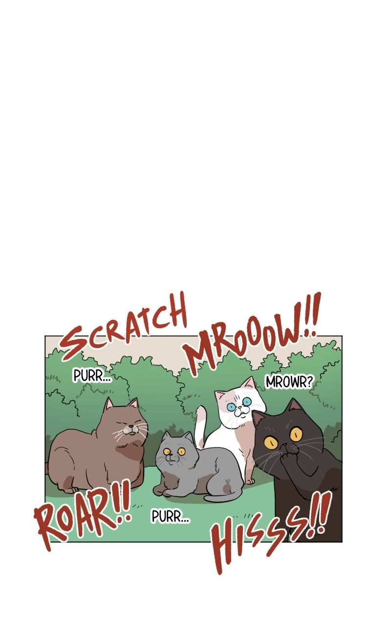 Princess's Princes Ep. 1 - Look out! They're Coming Your Way!! page 7 - 