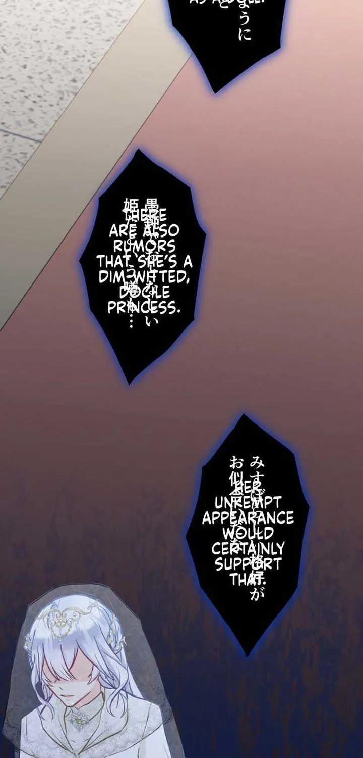 Princess Sveta’s Political Marriage Chapter 1 page 11 - 