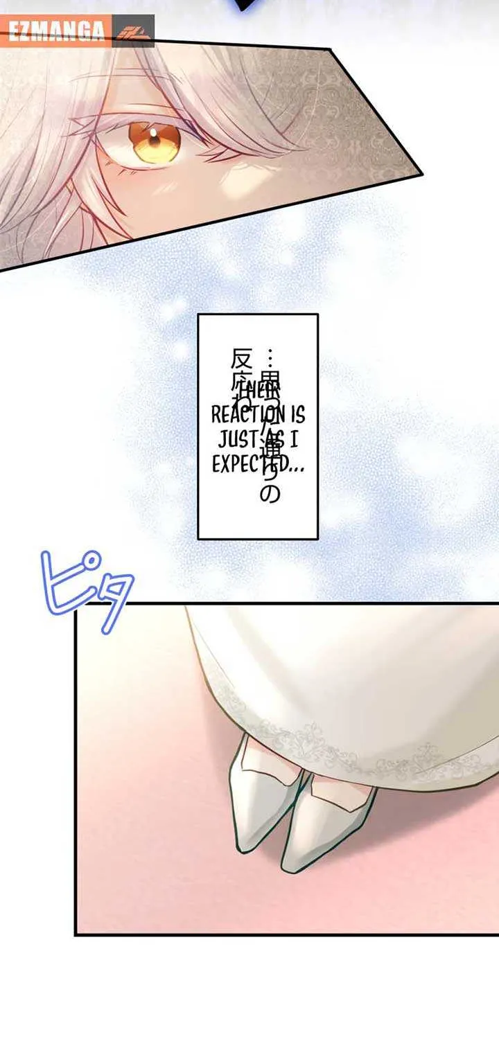 Princess Sveta’s Political Marriage Chapter 1 page 13 - 