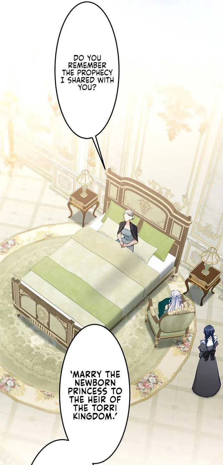 Princess Sveta’s Political Marriage Chapter 1 page 23 - 