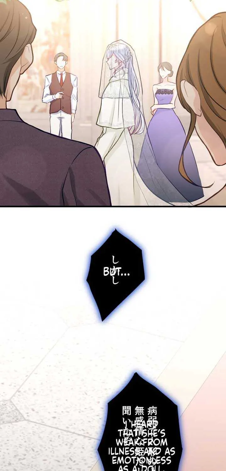 Princess Sveta’s Political Marriage Chapter 1 page 10 - 