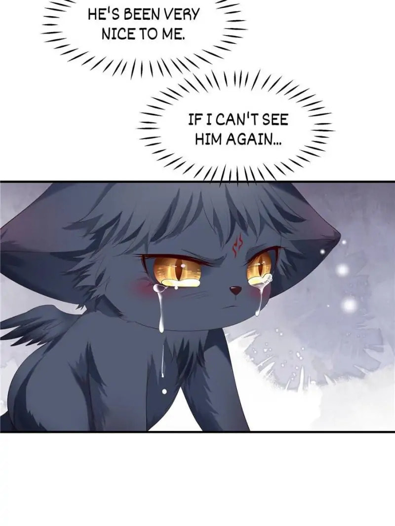 Private Devil Puppy (Colored) Chapter 123 page 44 - 