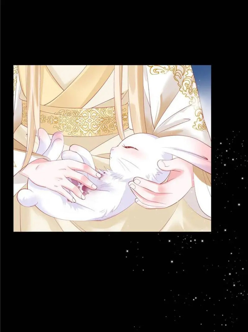 Private Devil Puppy (Colored) Chapter 127 page 67 - 