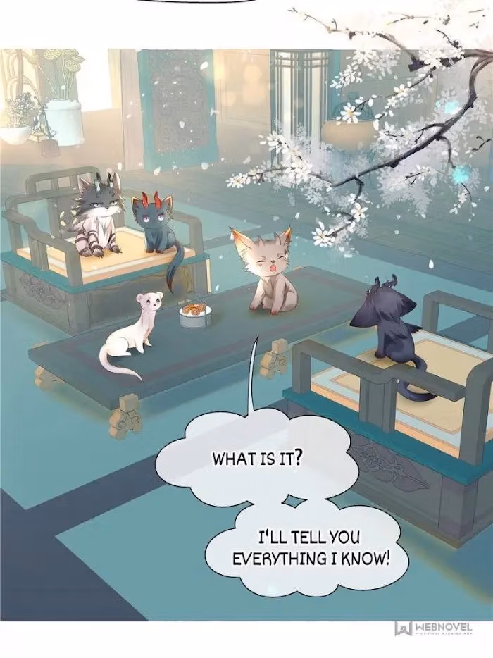 Private Devil Puppy Chapter 109 page 77 - 