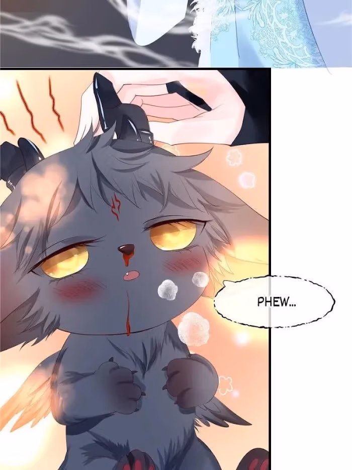 Private Devil Puppy Chapter 110 page 73 - 