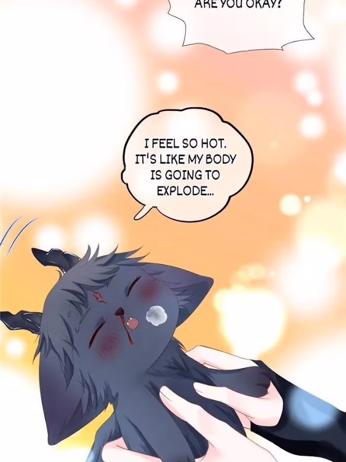 Private Devil Puppy Chapter 110 page 75 - 