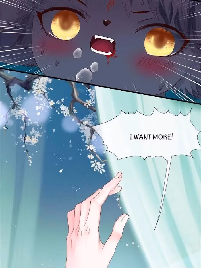Private Devil Puppy Chapter 111 page 11 - 