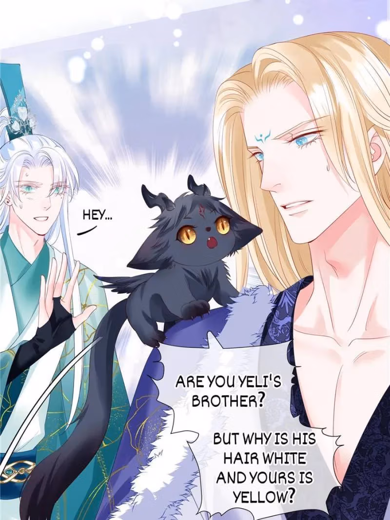 Private Devil Puppy Chapter 126 page 129 - 