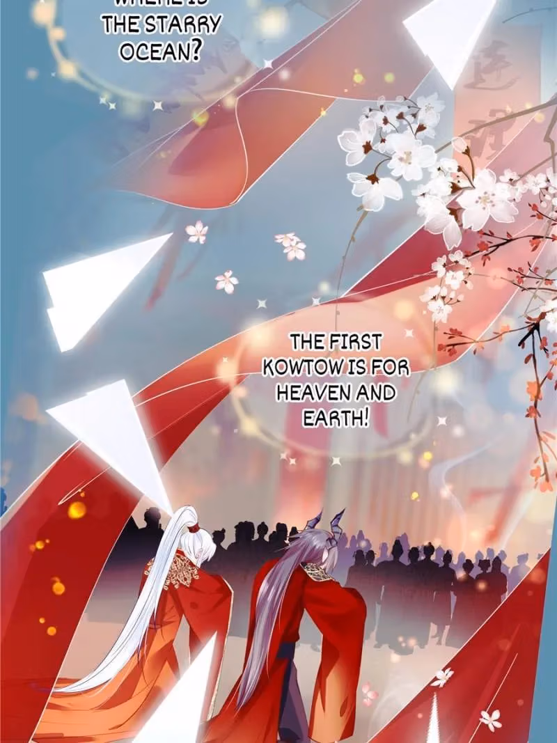 Private Devil Puppy Chapter 128 page 74 - 