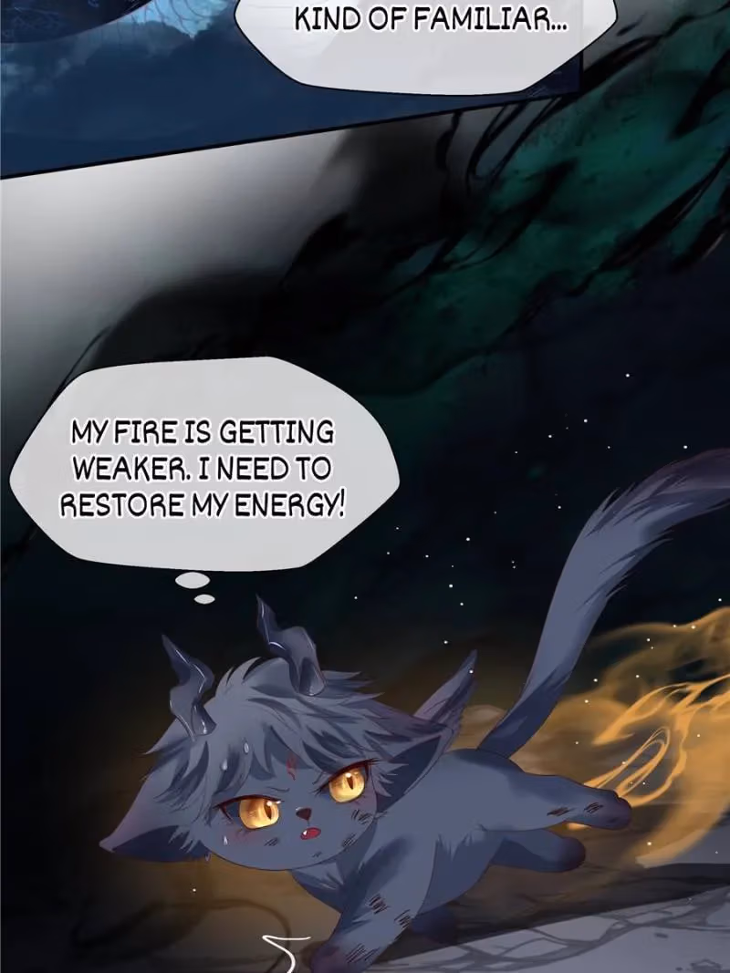 Private Devil Puppy Chapter 129 page 71 - 