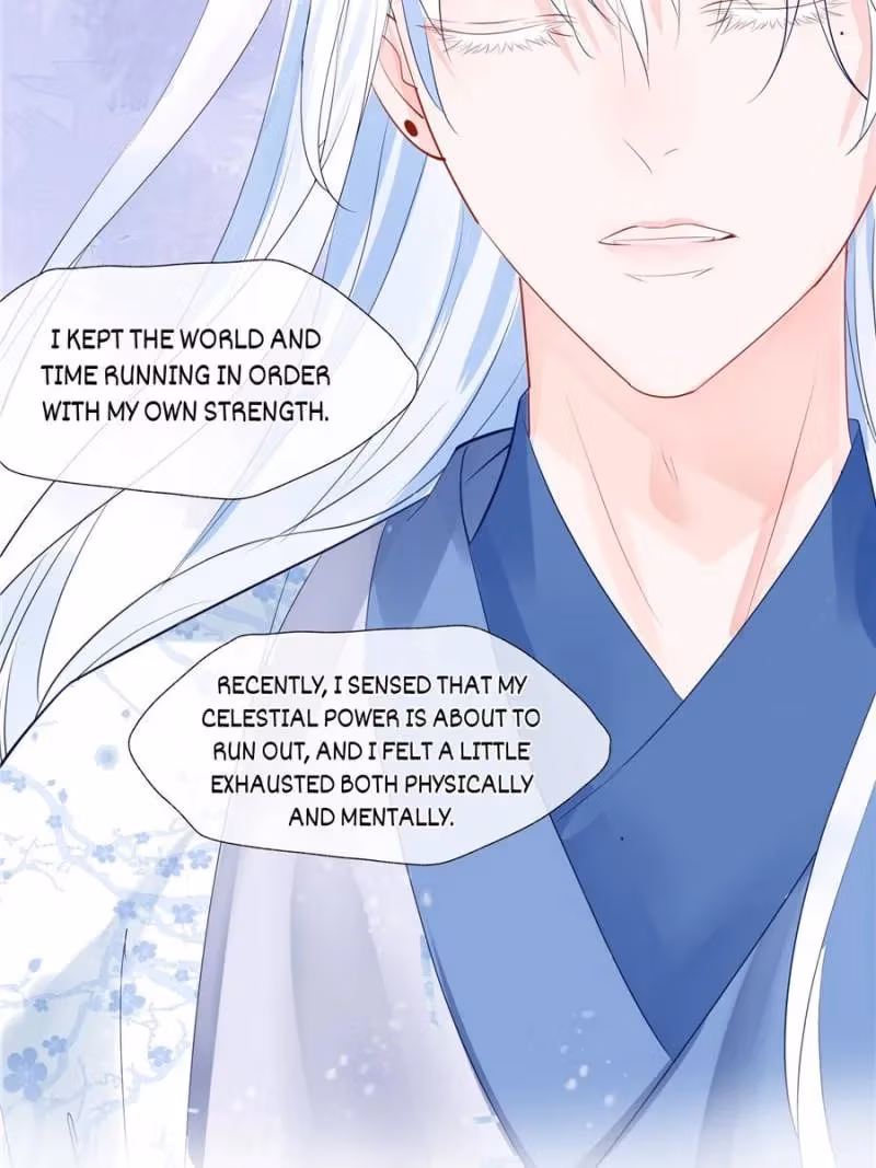 Private Devil Puppy Chapter 93 page 47 - 